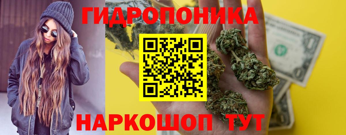 Конопля план Грозный